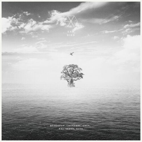 BIRD از EXO