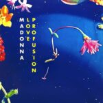Love Profusion (The Remixes) از Madonna