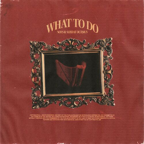 What To Do? از Serhat Durmus