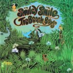 Smiley Smile (Remastered) از The Beach Boys