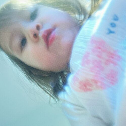 Ginkgo از Panchiko