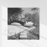 Downy از Richy Mitch & The Coal Miners