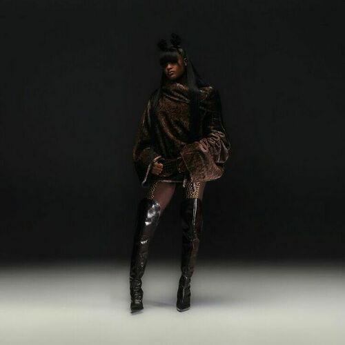 NO BRING INS از Chy Cartier