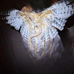 DWMF از Slush Puppy