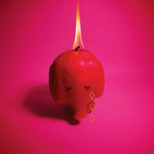 Pink Elephant از Arcade Fire