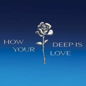 How Deep Is Your Love از Prince Royce