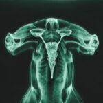 Shark Brain (feat. Shygirl) (Acapella) از Eartheater