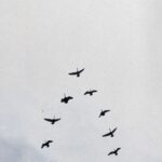 GOD/MARRIAGE از Nelly Furtado