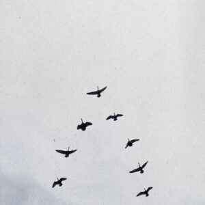 GOD/MARRIAGE از Nelly Furtado