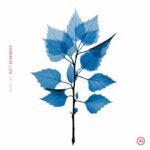 Breaking Into Acting از Matt Berninger