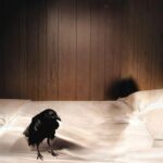 Raven از Isabel LaRosa