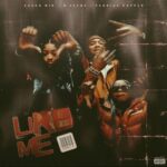 Like Me (Remix) از Kashh Mir