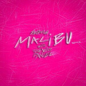 malibu (Trevor Daniel remix) از sangiovanni