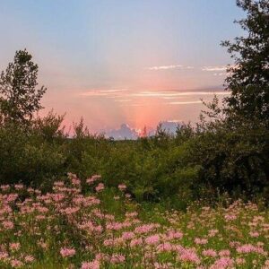 It’s That Time Again از d4vd