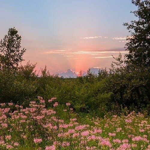 It’s That Time Again از d4vd