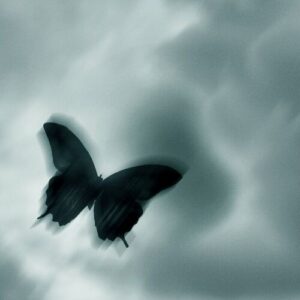 life’s a dream از d4vd