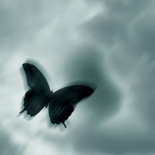 life’s a dream از d4vd