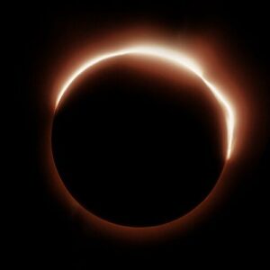 Take Me To The Sun از d4vd