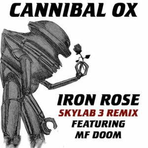 Iron Rose (Skylab 3 Remix Instrumental) از Cannibal Ox