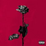 deadroses از blackbear