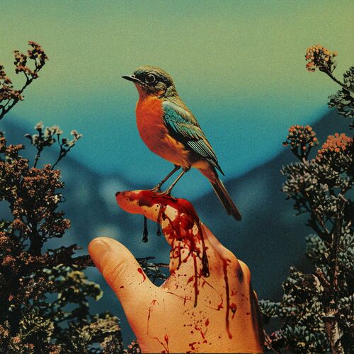 Fragile Thing از Winona Oak