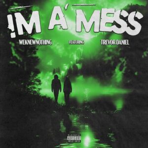 I’m a Mess از weknewnothing
