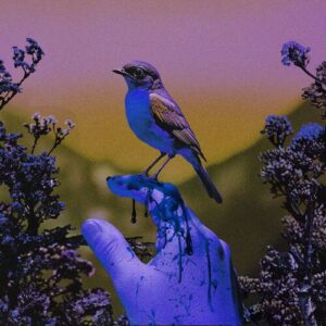 Fragile Thing (Acoustic Version) از Winona Oak