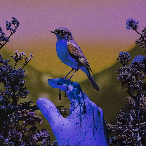 Fragile Thing (Acoustic Version) از Winona Oak