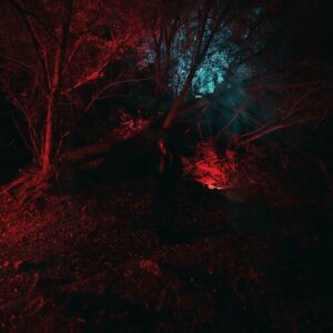 KAMELEON از Kami Kehoe