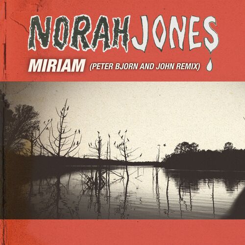 Miriam (Peter, Bjorn And John Remix) از Norah Jones