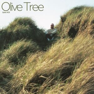 Olive Tree از Quinn XCII