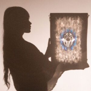 baja bird از Quinnie