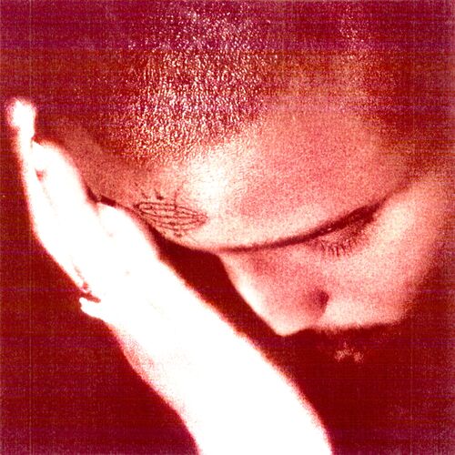 Max Potential از Nourished by Time