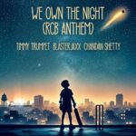 We Own The Night (feat. Chandan Shetty) [RCB Anthem] [Festival Mix] از Timmy Trumpet