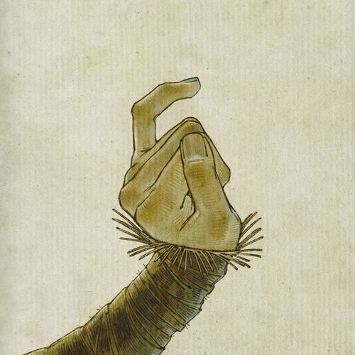 Cole's Response از Yaelokre