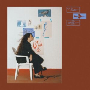 Como Un Pájaro از Silvana Estrada