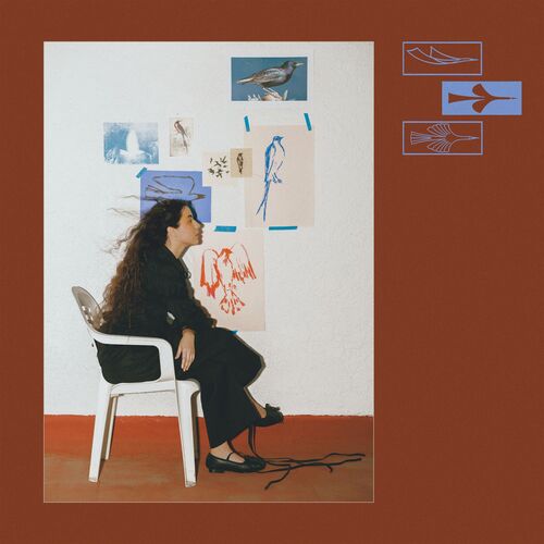 Como Un Pájaro از Silvana Estrada