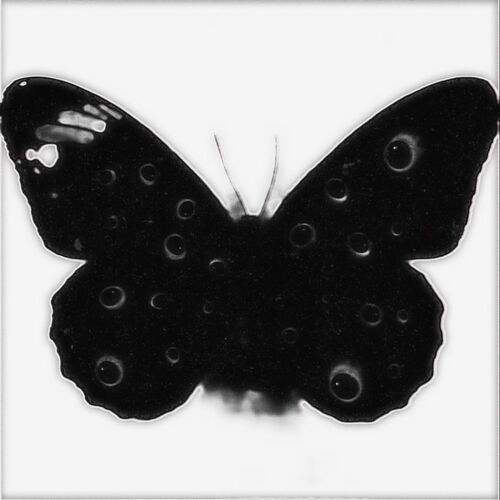 Butterfly Dream از MoonDeity