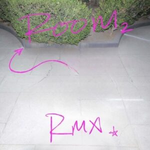 True Religion (feat. Isabella Lovestory & PinkPantheress) (DJ Gigola Remix) از Shygirl