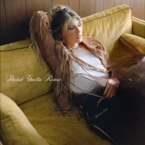 Not At This Party (David Guetta Remix) از Dasha