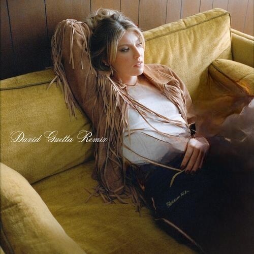 Not At This Party (David Guetta Remix) از Dasha