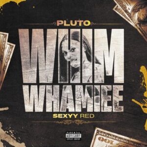 WHIM WHAMIEE (Remix) از PLUTO