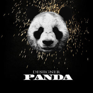 Panda از Desiigner