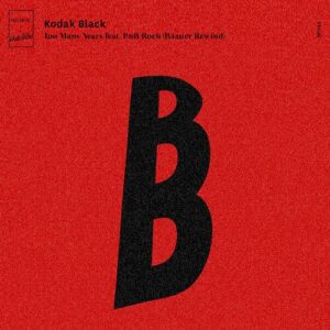 Too Many Years (feat. PnB Rock) (Baauer Rewind) از Kodak Black