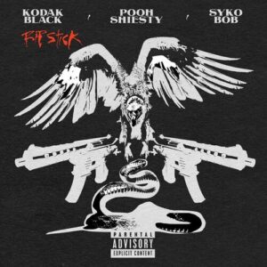Rip Stick (feat. Pooh Shiesty & Sykobob) از Kodak Black