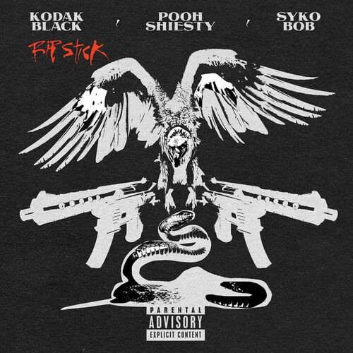 Rip Stick (feat. Pooh Shiesty & Sykobob) از Kodak Black