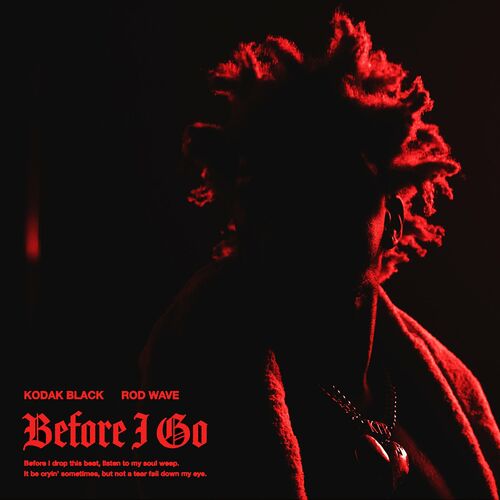 Before I Go (feat. Rod Wave) از Kodak Black
