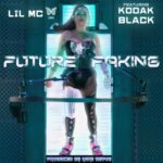Future Faking از Lil MC