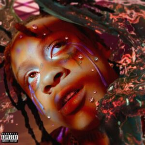 Who Needs Love از Trippie Redd