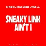 Sneaky Link Ain't I از OJ The DJ
